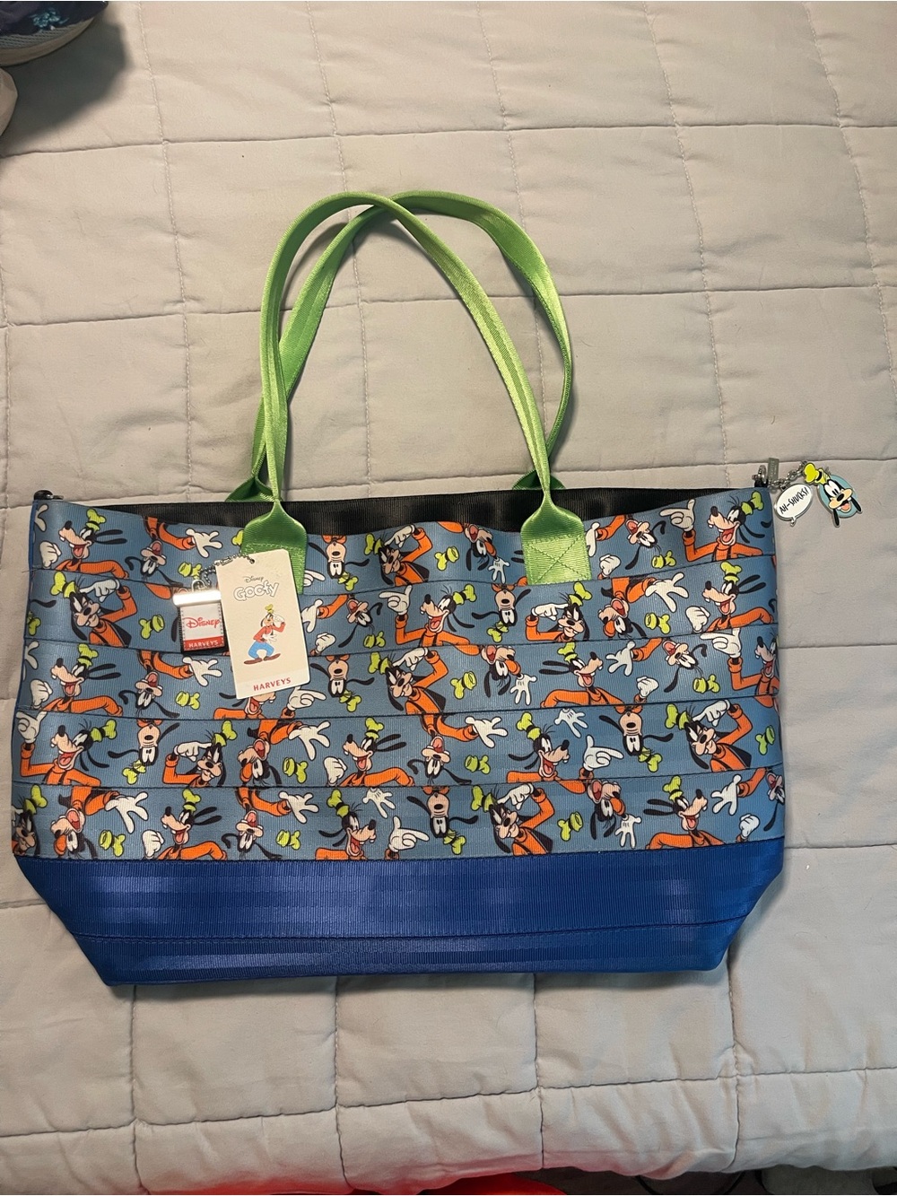 Disney Harveys Goofy Wanderer